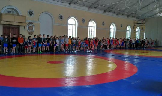 Відкритий чемпіонат міста з вільної боротьби